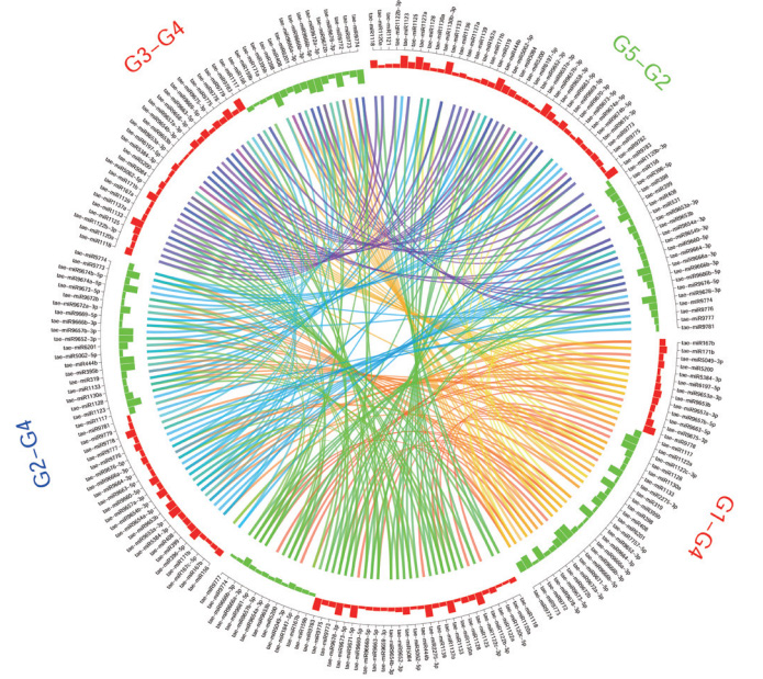 微生物全基因组测序
