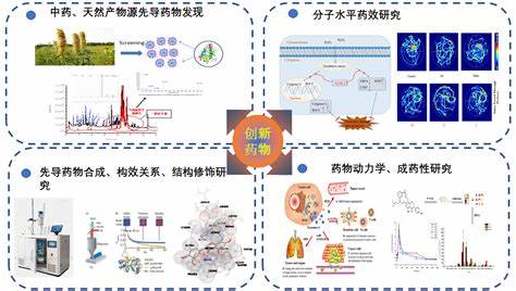 方法学开发与验证