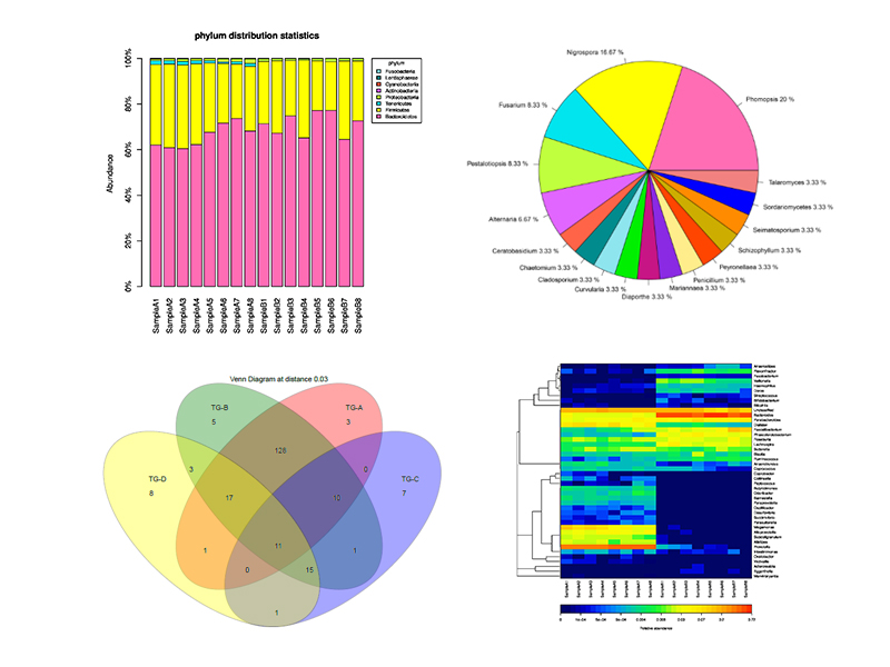 微生物多样性分析
